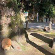 ヒメ日記 2025/12/15 14:32 投稿 ジュリア Club Hearts