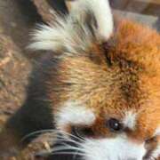 ヒメ日記 2025/12/23 18:56 投稿 ジュリア Club Hearts