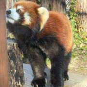 ヒメ日記 2026/01/07 22:09 投稿 ジュリア Club Hearts