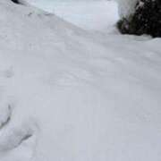 ヒメ日記 2026/01/28 18:24 投稿 ジュリア Club Hearts