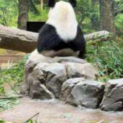 ヒメ日記 2026/02/03 15:51 投稿 ジュリア Club Hearts