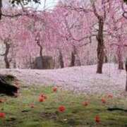 ヒメ日記 2026/03/29 01:36 投稿 ジュリア Club Hearts