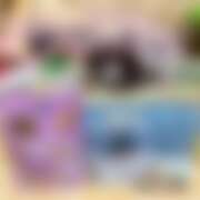 ヒメ日記 2026/03/14 15:04 投稿 りん 西川口マーメイド