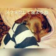 ヒメ日記 2026/03/29 20:05 投稿 りさこ 人妻ゲッチュー