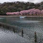 ヒメ日記 2024/04/02 11:04 投稿 元成美香 五十路マダム 徳島店