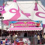 ヒメ日記 2025/03/25 12:34 投稿 元成美香 五十路マダム 徳島店