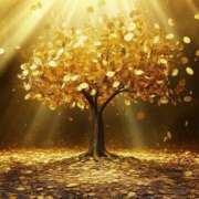 ヒメ日記 2025/05/15 20:44 投稿 元成美香 五十路マダム 徳島店