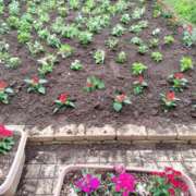 ヒメ日記 2025/05/30 21:44 投稿 元成美香 五十路マダム 徳島店