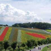 ヒメ日記 2025/08/23 22:38 投稿 元成美香 五十路マダム 徳島店