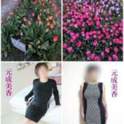 ヒメ日記 2026/03/16 18:30 投稿 元成美香 五十路マダム 徳島店