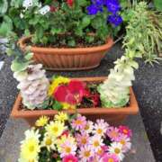 ヒメ日記 2026/05/25 18:00 投稿 元成美香 五十路マダム 徳島店