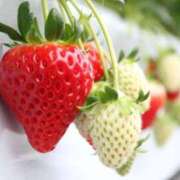 ヒメ日記 2024/12/16 05:39 投稿 かれん 完熟ばなな神戸・三宮店