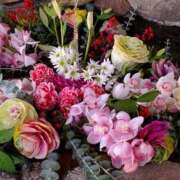 ヒメ日記 2025/01/08 08:28 投稿 かれん 完熟ばなな神戸・三宮店