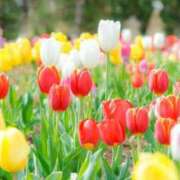 ヒメ日記 2025/01/09 06:35 投稿 かれん 完熟ばなな神戸・三宮店