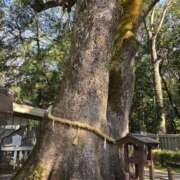 ヒメ日記 2025/02/16 09:41 投稿 かれん 完熟ばなな神戸・三宮店