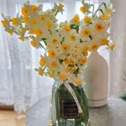 ヒメ日記 2025/02/18 07:55 投稿 かれん 完熟ばなな神戸・三宮店