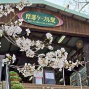 ヒメ日記 2025/04/01 07:34 投稿 かれん 完熟ばなな神戸・三宮店