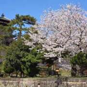ヒメ日記 2025/04/12 08:39 投稿 かれん 完熟ばなな神戸・三宮店