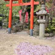 ヒメ日記 2025/04/16 07:46 投稿 かれん 完熟ばなな神戸・三宮店