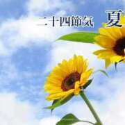 ヒメ日記 2025/06/21 07:25 投稿 かれん 完熟ばなな神戸・三宮店