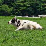 ヒメ日記 2025/08/15 09:01 投稿 かれん 完熟ばなな神戸・三宮店