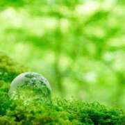 ヒメ日記 2025/08/19 07:44 投稿 かれん 完熟ばなな神戸・三宮店