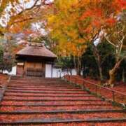 ヒメ日記 2025/10/31 07:54 投稿 かれん 完熟ばなな神戸・三宮店