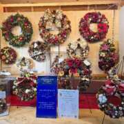 ヒメ日記 2025/11/25 07:57 投稿 かれん 完熟ばなな神戸・三宮店