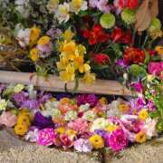 ヒメ日記 2025/12/19 08:34 投稿 かれん 完熟ばなな神戸・三宮店