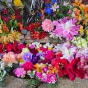 ヒメ日記 2025/12/29 08:26 投稿 かれん 完熟ばなな神戸・三宮店