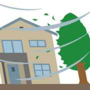 ヒメ日記 2026/01/20 08:08 投稿 かれん 完熟ばなな神戸・三宮店