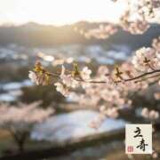 ヒメ日記 2026/02/04 07:41 投稿 かれん 完熟ばなな神戸・三宮店