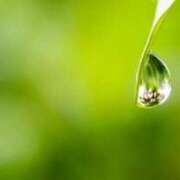 ヒメ日記 2026/02/19 07:09 投稿 かれん 完熟ばなな神戸・三宮店