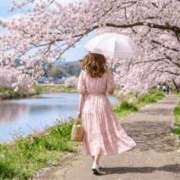 ヒメ日記 2026/03/02 08:15 投稿 かれん 完熟ばなな神戸・三宮店