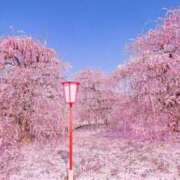 ヒメ日記 2026/03/07 08:07 投稿 かれん 完熟ばなな神戸・三宮店