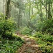 ヒメ日記 2026/03/21 08:12 投稿 かれん 完熟ばなな神戸・三宮店