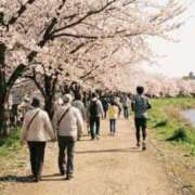 ヒメ日記 2026/03/23 07:51 投稿 かれん 完熟ばなな神戸・三宮店