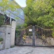 ヒメ日記 2026/04/03 08:11 投稿 かれん 完熟ばなな神戸・三宮店