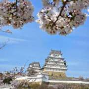 かれん お花見へ行ってきました🌸💗🌸🩷 完熟ばなな神戸・三宮店