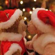 ヒメ日記 2024/12/20 08:30 投稿 えみり☆ CLUB PIAA