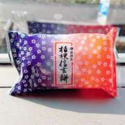 ヒメ日記 2025/01/14 16:25 投稿 えみり☆ CLUB PIAA