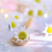 ヒメ日記 2025/01/21 08:46 投稿 えみり☆ CLUB PIAA