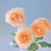 ヒメ日記 2025/01/25 10:45 投稿 えみり☆ CLUB PIAA