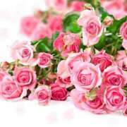 ヒメ日記 2025/03/16 08:30 投稿 えみり☆ CLUB PIAA