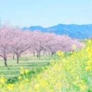 ヒメ日記 2025/04/07 08:46 投稿 えみり☆ CLUB PIAA