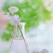 ヒメ日記 2025/04/20 08:16 投稿 えみり☆ CLUB PIAA