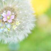 ヒメ日記 2025/04/25 08:02 投稿 えみり☆ CLUB PIAA