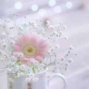 ヒメ日記 2025/05/04 14:30 投稿 えみり☆ CLUB PIAA