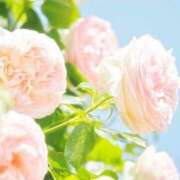 ヒメ日記 2025/05/20 09:45 投稿 えみり☆ CLUB PIAA