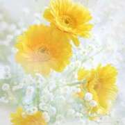 ヒメ日記 2025/05/21 10:00 投稿 えみり☆ CLUB PIAA